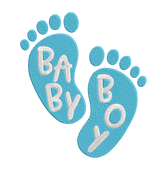 Baby Boy- Embroidery Design - FineryEmbroidery